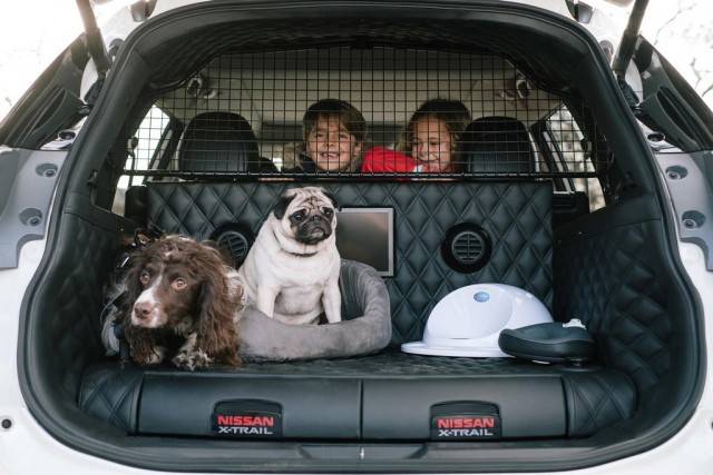 Doggie crib in Nissan X-Trail 4Dogs