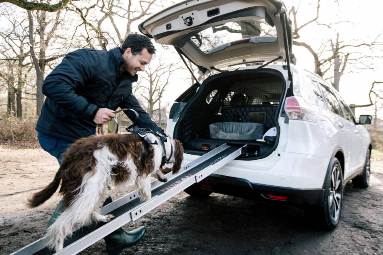 Nissan Creates the BEST (EVER!) DogFriendly Car in the World