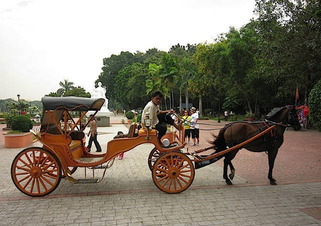 Horse and carriage