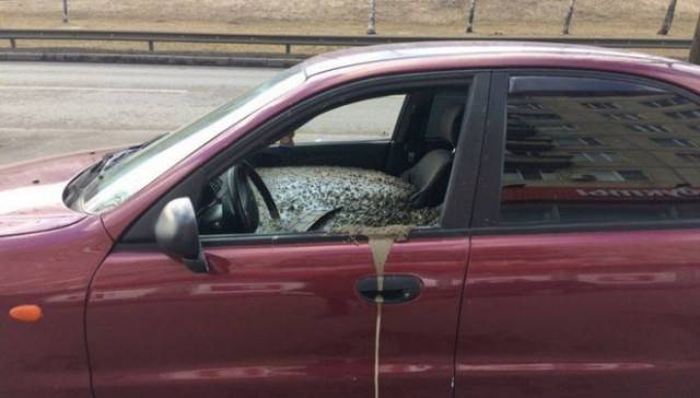Red Chevrolet car filled with cement