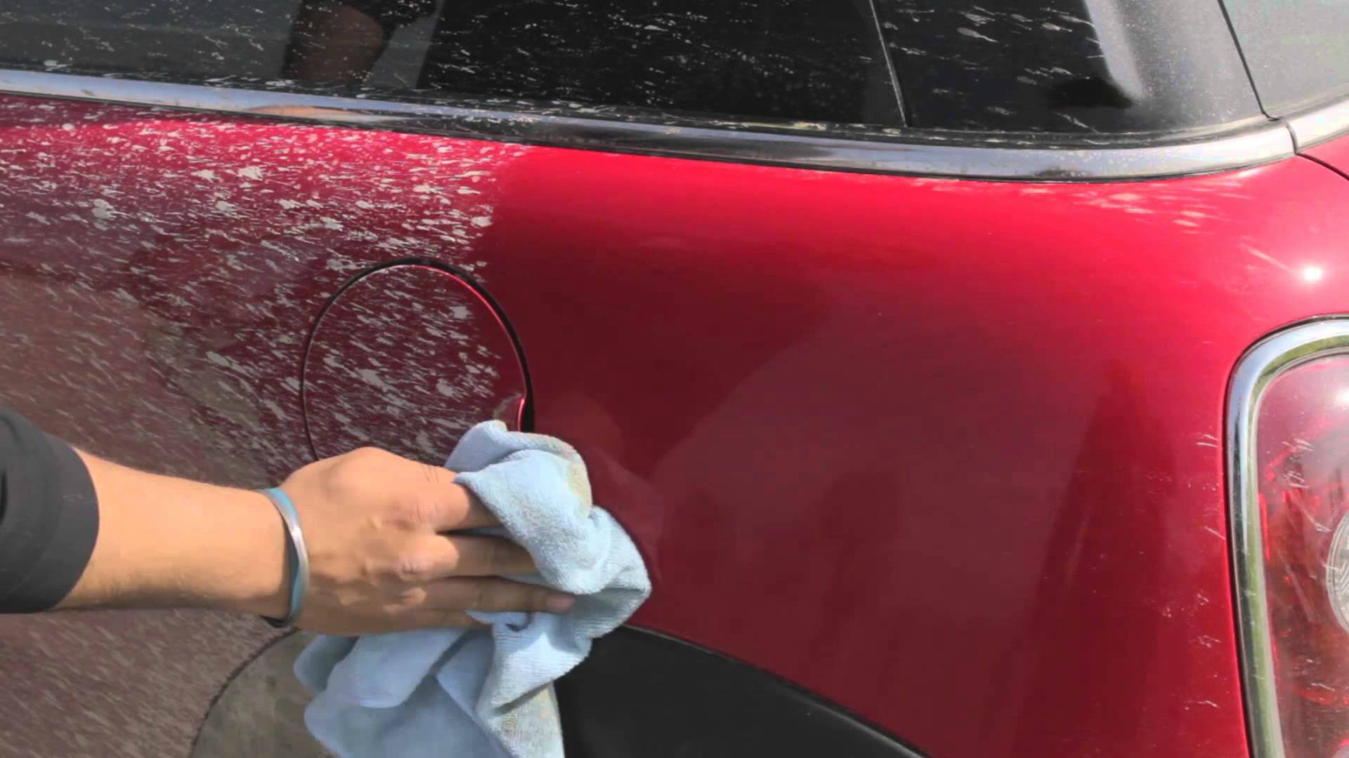 Person cleaning the car