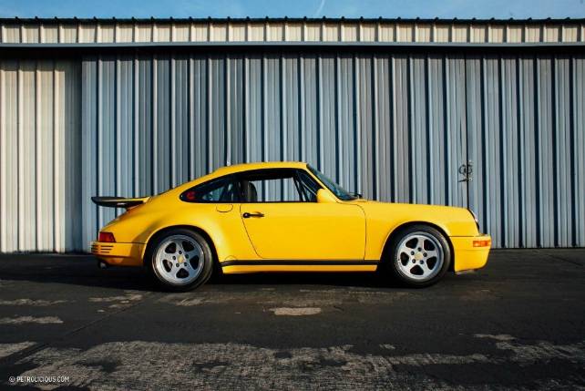 Side view of Yellowbird