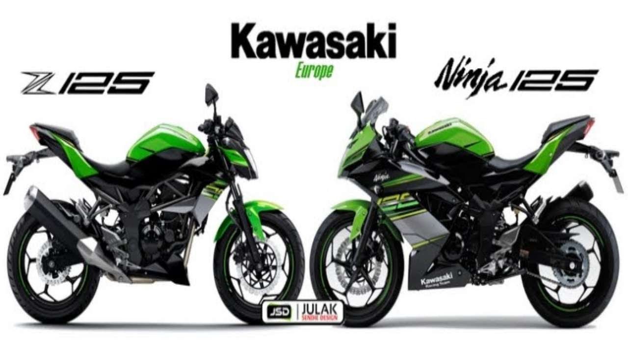 Hjelm Dangle Sammenhængende Kawasaki Unveils Its New Ninja and Z Bikes