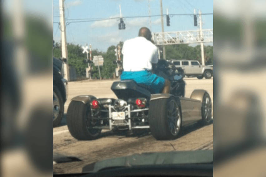 campagna t rex