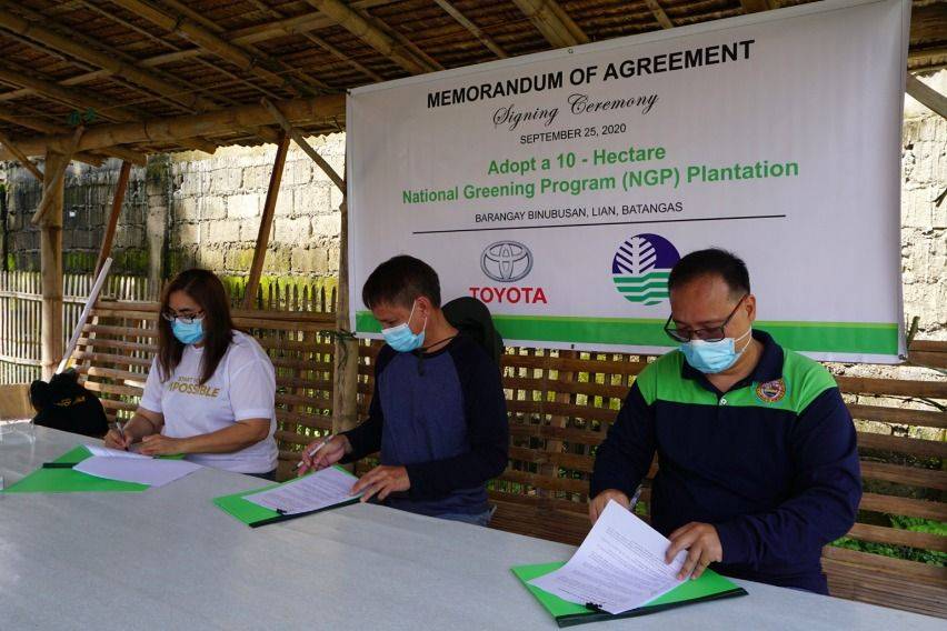 TMP mangrove rehab Batangas