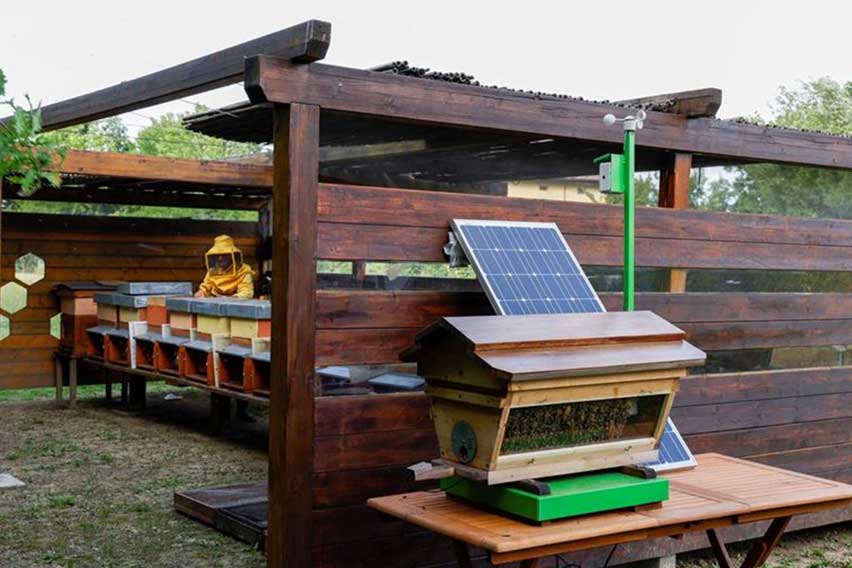 Lamborghini-Park-Apiary