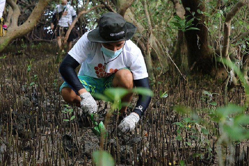 Toyota Green Wave Project 2022 - Calatagan 3