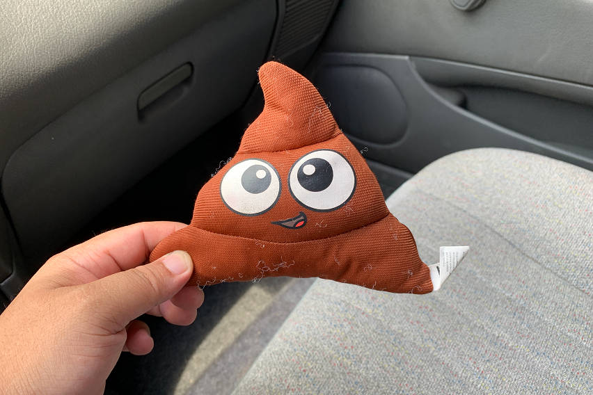 poop in car