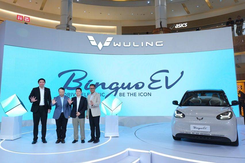 Wuling Binguo