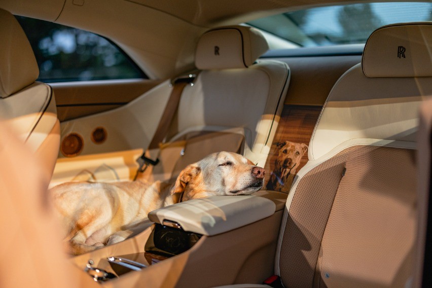 Interior Rolls-Royce Spectre Bailey