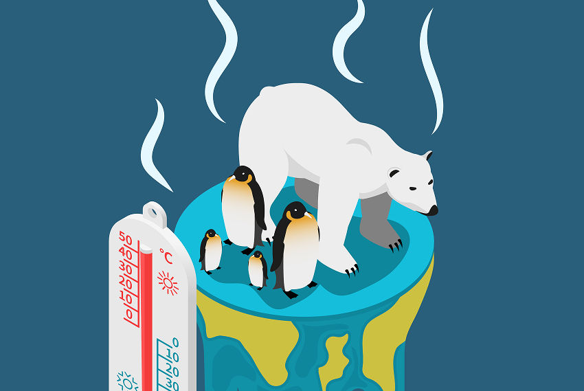 Car insurance in 2026