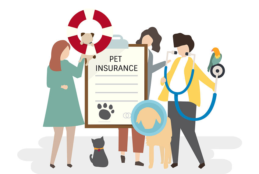 Pet injury coverage