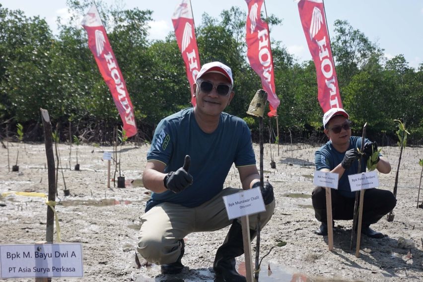 Honda Babel Tanam Mangrove